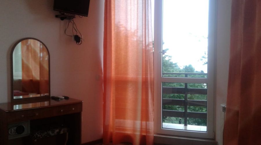 Стандарт 1-местный вид на море