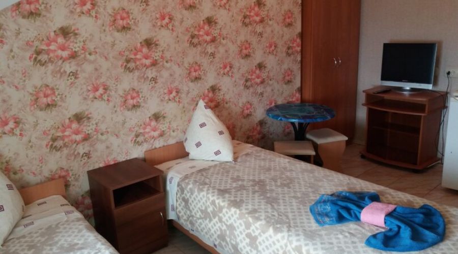 Стандарт 2-местный 1-комнатный