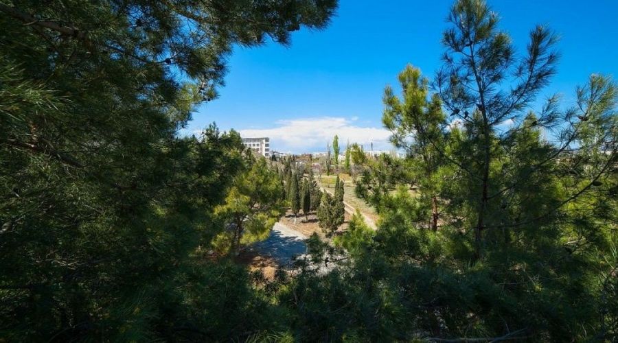 Люкс 2-местный White 