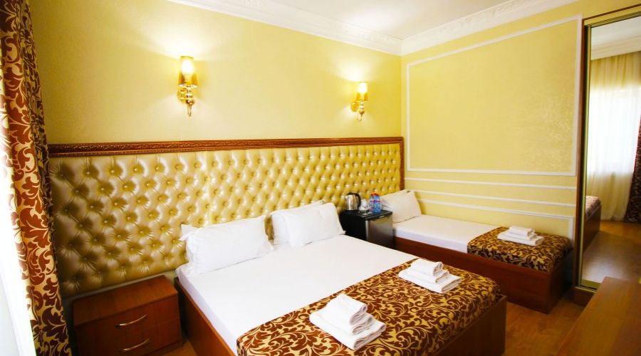 Люкс 3-местный 1-комнатный