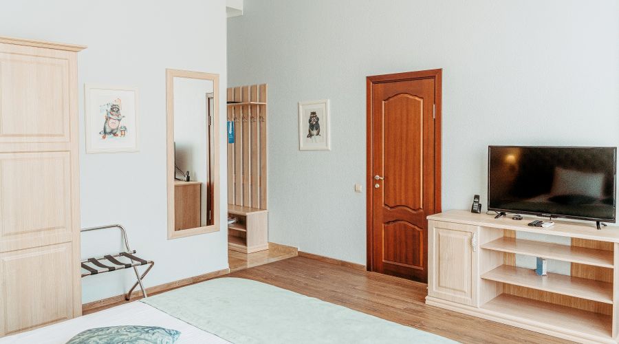 Улучшенный 2 местный с видом на горы