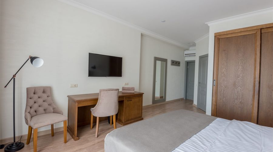 Полулюкс 3-местный 1-комнатный