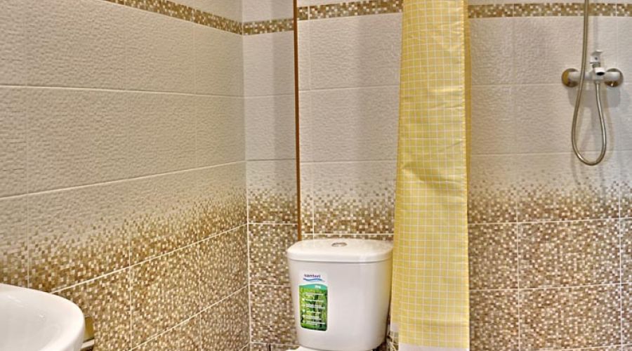 Апартаменты 5 4-местные 1-комнатные