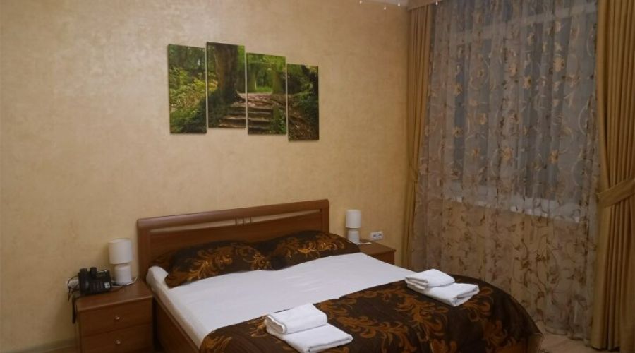 Эконом Бюджет 2-местный 1-комнатный (одна двуспальная кровать)