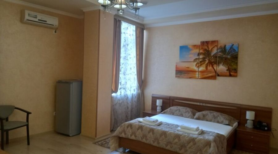 Стандарт Плюс 2-местный 1-комнатный (одна двуспальная кровать)