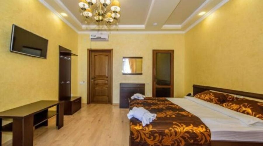 Стандарт Плюс 2-местный 1-комнатный (одна двуспальная кровать)