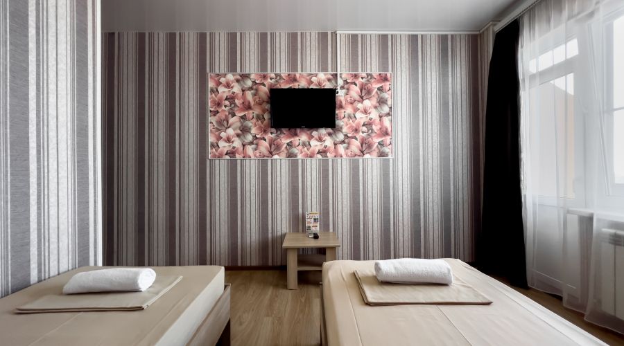 Стандарт 2-местный  c раздельными кроватями