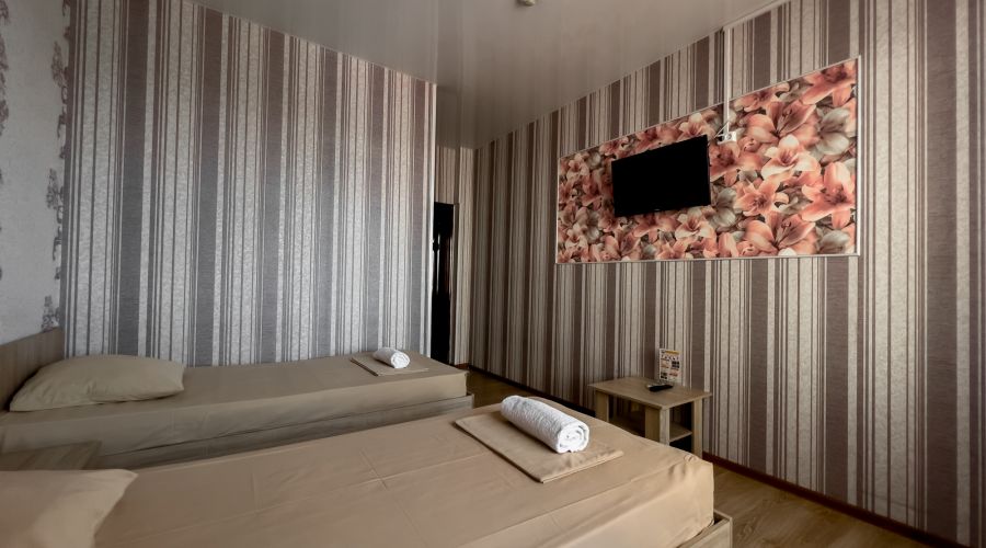 Стандарт 2-местный  c раздельными кроватями