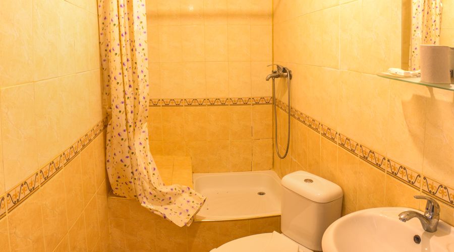 Полулюкс 2-местный