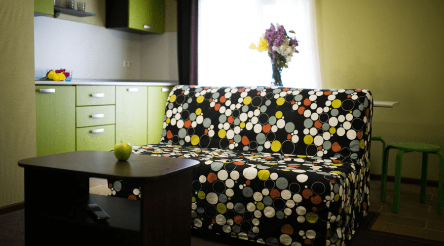 Студия 2-местная с мини кухней