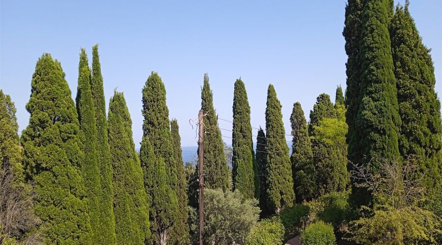 Апартаменты №21 2-местный 2-комнатный