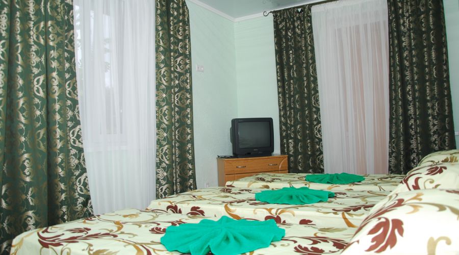 Комфорт 3-местный 1-комнатный