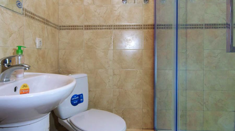 Стандарт Стандарт 2 местный 1 комнатный