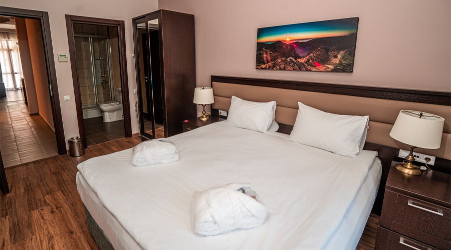 Апартаменты Делюкс с 2 спальнями