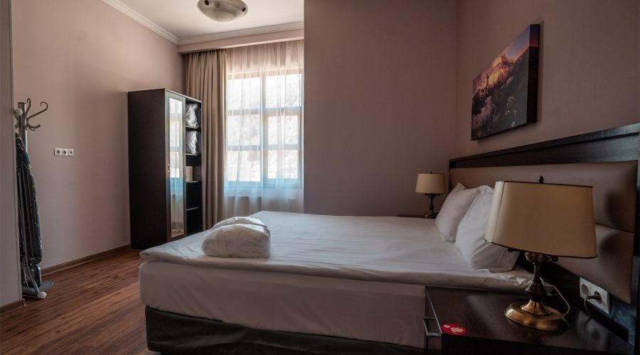 Апартаменты Делюкс с 1 спальней