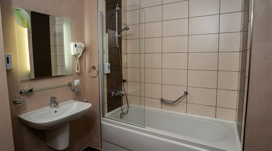 Апартаменты Делюкс с 1 спальней