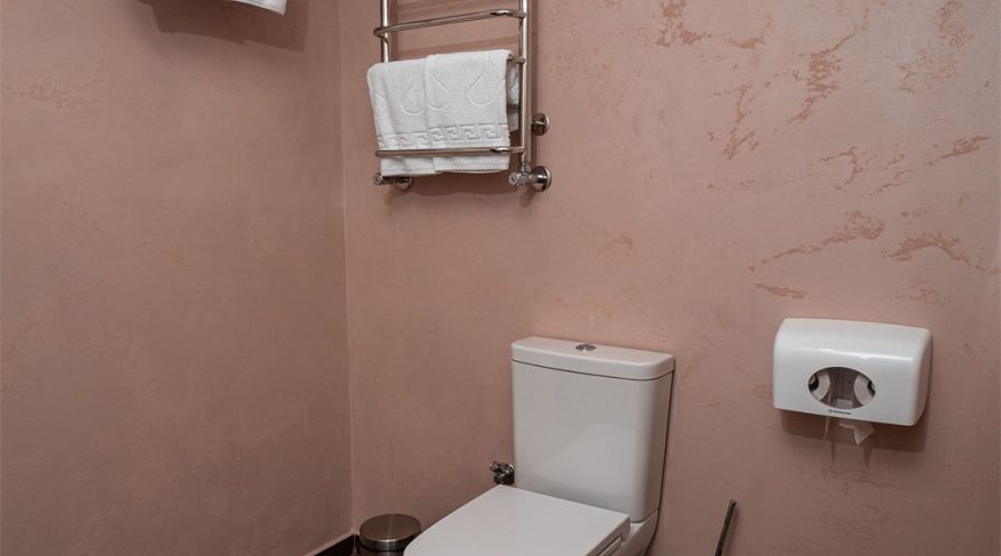 Апартаменты Делюкс с 1 спальней