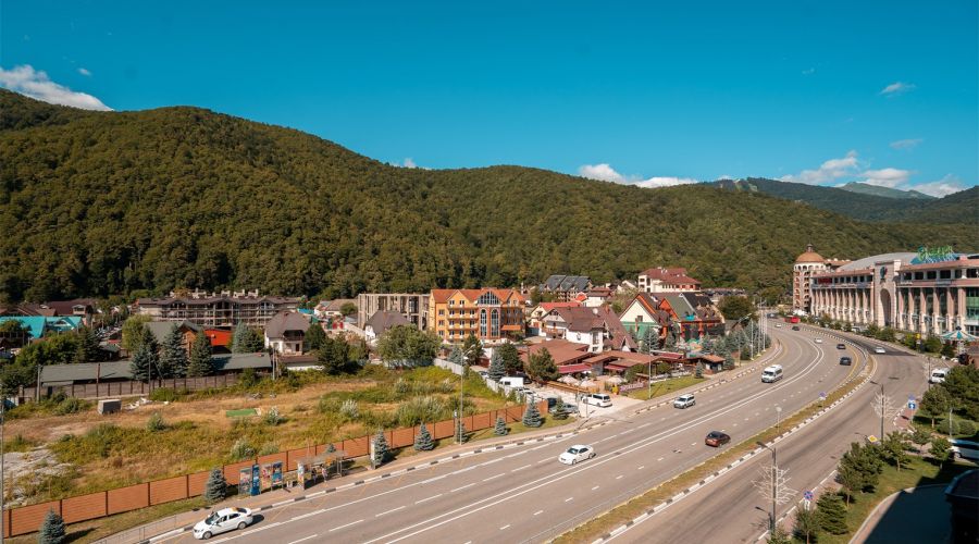 Апартаменты Делюкс с 1 спальней