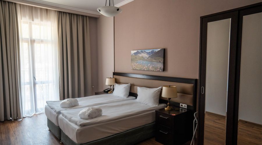 Апартаменты Делюкс с 1 спальней