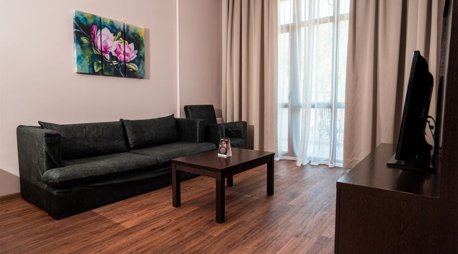 Апартаменты Делюкс с 1 спальней