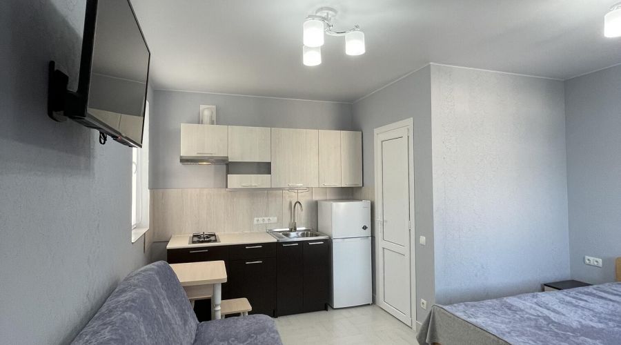 Студия 2-местный с кухней и балконом