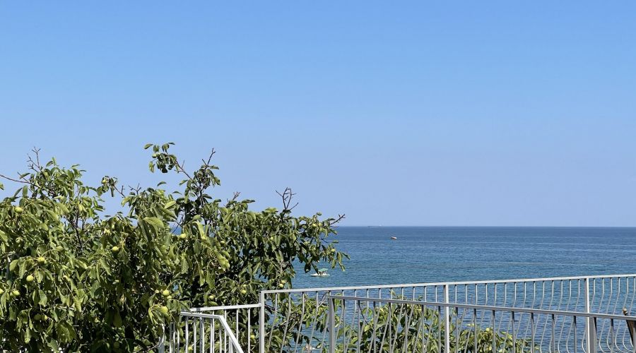 Студия 2-местный с кухней и балконом