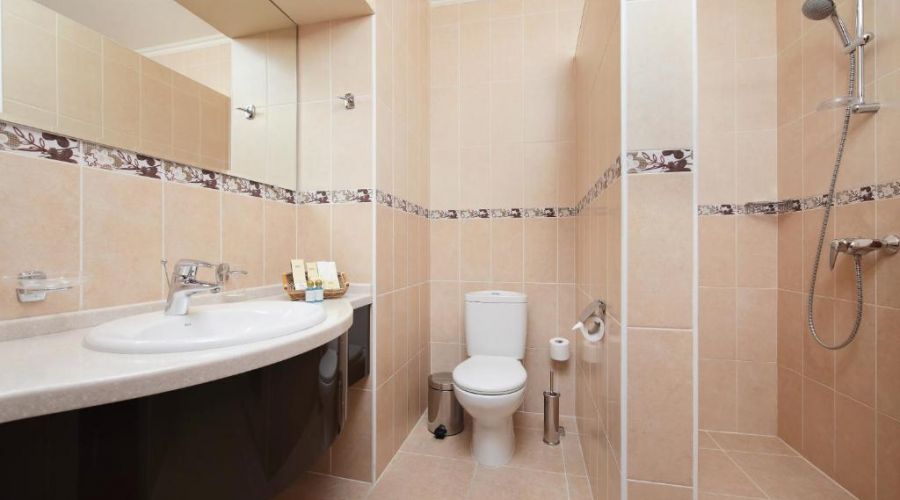 Полулюкс 2-местный Полулюкс