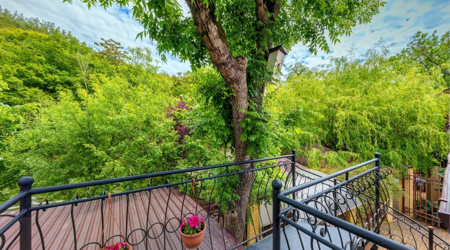 Студия 4-местный с видом на сад