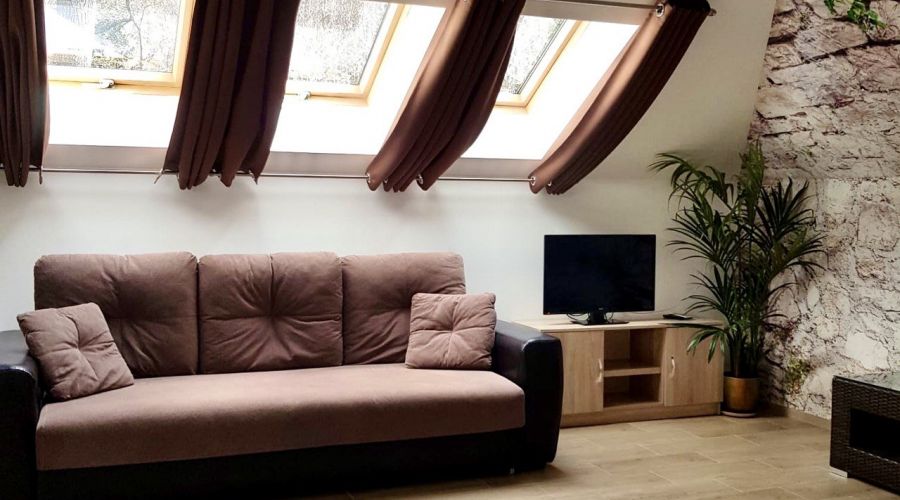 Студия 4-местный с видом на сад