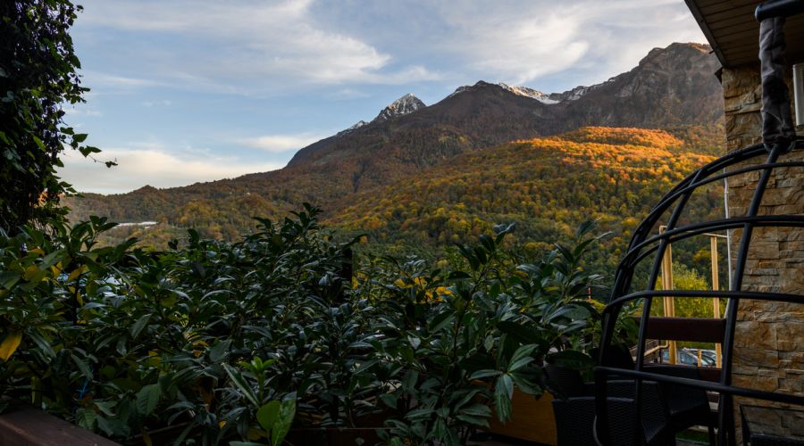 Делюкс 2-местный +Терасса