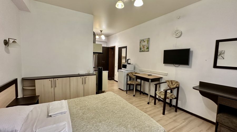 Студия 2-местная бюджетная с балконом