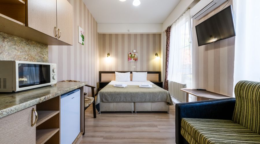 Студия Студия с видом на горы