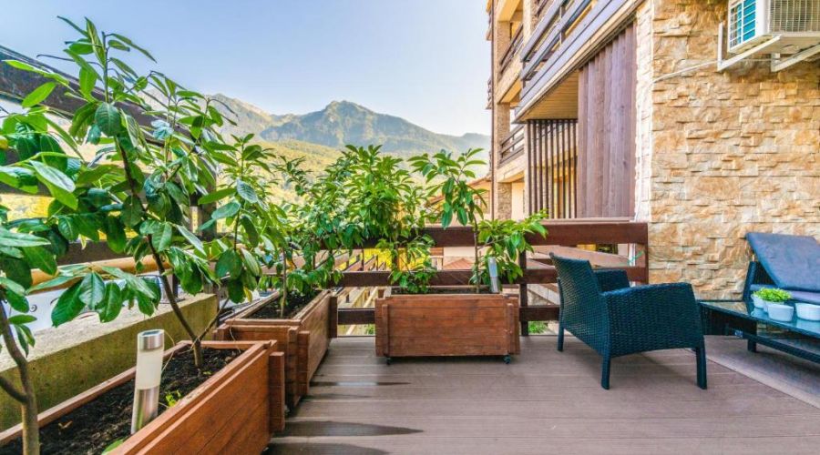 Люкс Люкс улучшенный с выходом на террасу