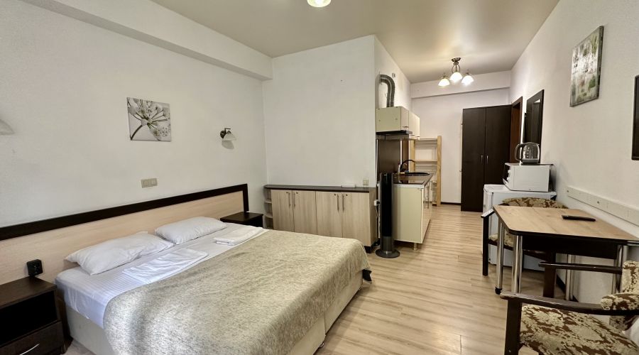 Студия 2-местная бюджетная с балконом