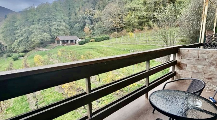 Апартаменты 4-местный с видовым балконом на виноградник