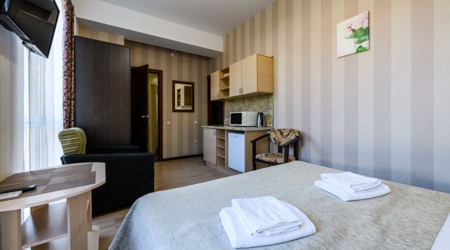 Студия Студия с видом на горы