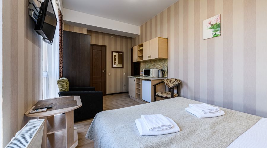 Студия Студия с видом на горы