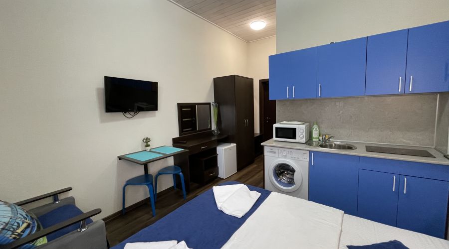 Студия Студия улучшенная с видом на горы