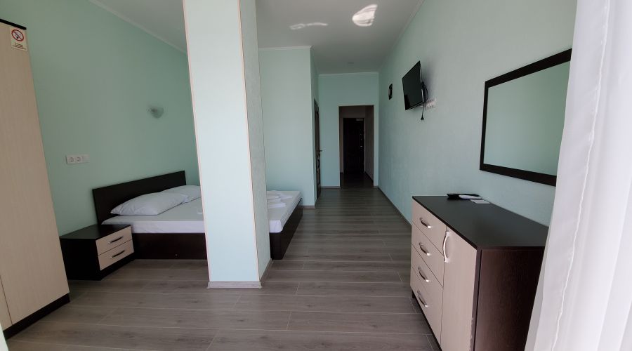 Люкс 2-местный 1-комнатный с мини-кухней