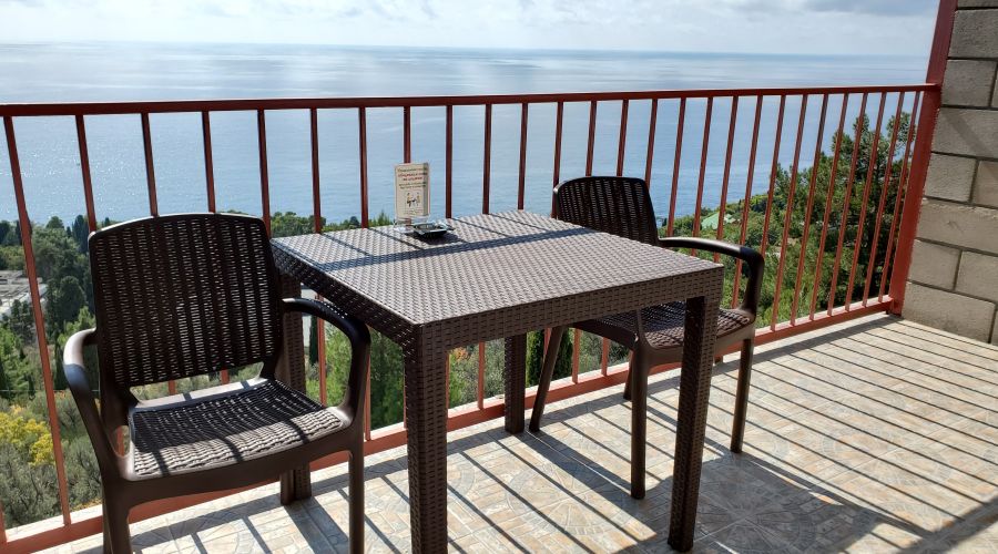 Люкс 2-местный 1-комнатный с мини-кухней