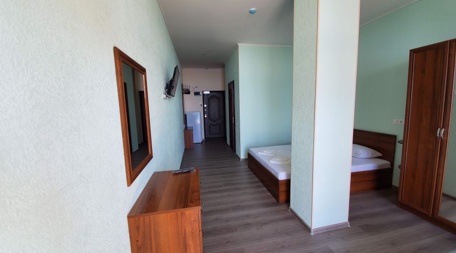 Люкс 2-местный 1-комнатный с мини-кухней