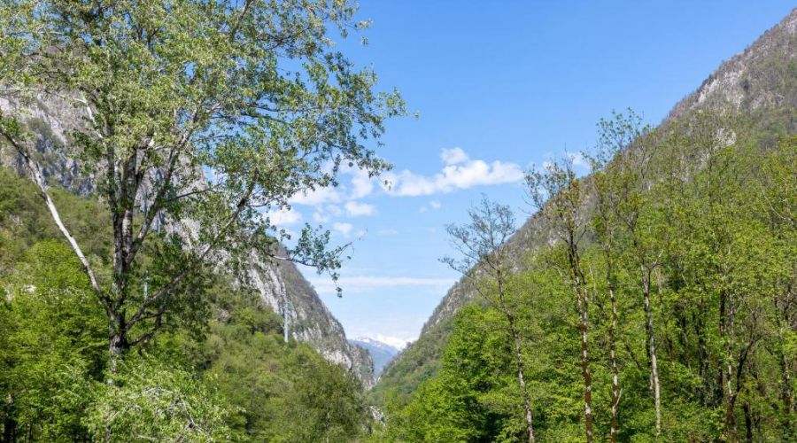 Комфорт Комфорт плюс 3-местный