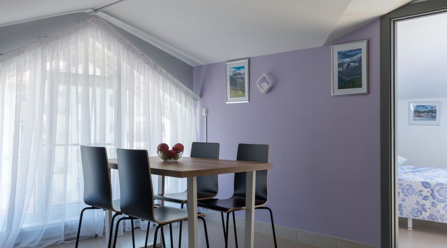 Апартаменты 5-местные Семейные №11 мансардный этаж