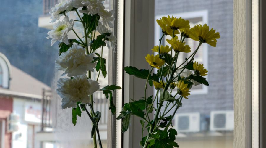 Апартаменты 4-местные Стандарт №12