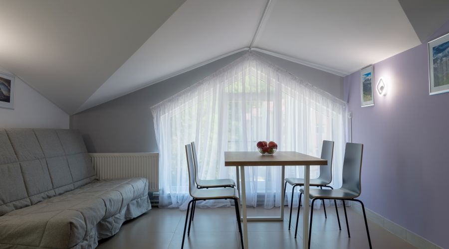 Апартаменты 5-местные Семейные №11 мансардный этаж