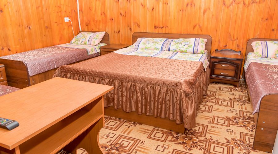 Эконом 5-местный 1-комнатный