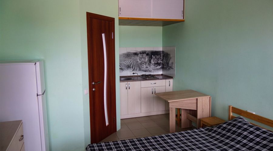 Стандарт 2-местный 1-комнатный с кухней