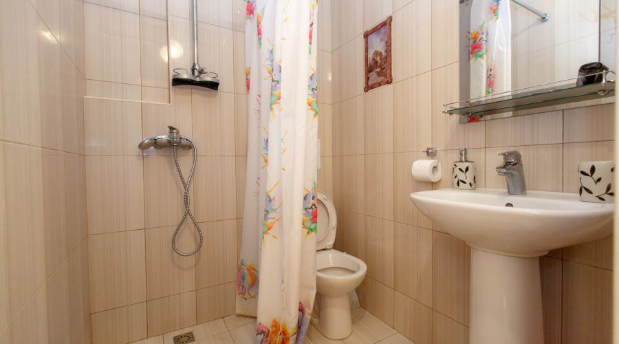 Полулюкс 3х местный