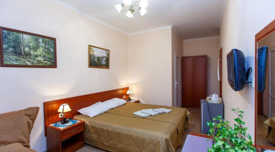 Полулюкс 2х местный