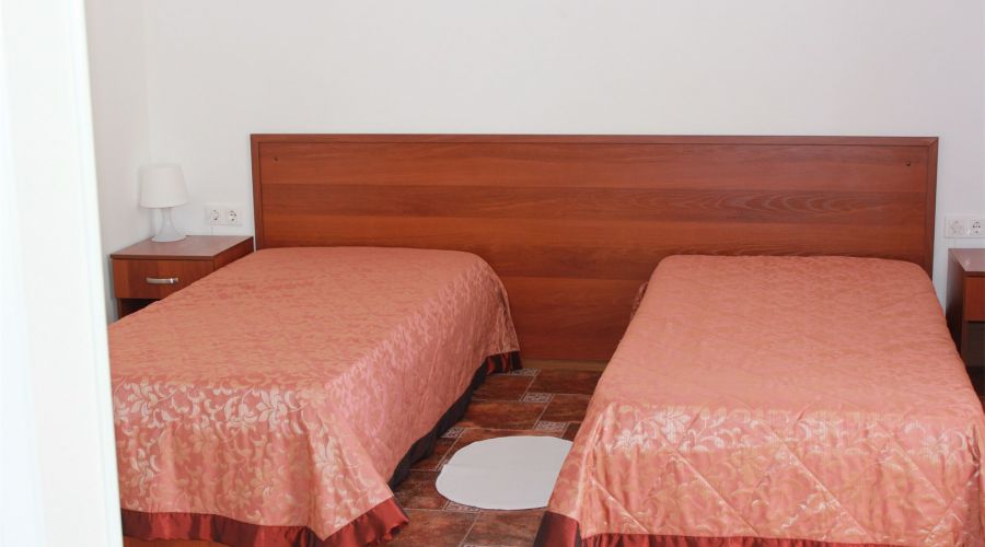 Стандарт Стандарт Twin 2-местный